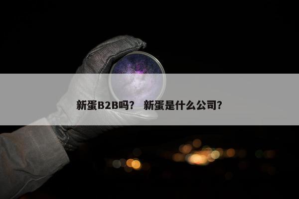 新蛋B2B吗？ 新蛋是什么公司？