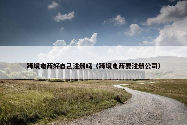 跨境电商好自己注册吗（跨境电商要注册公司）