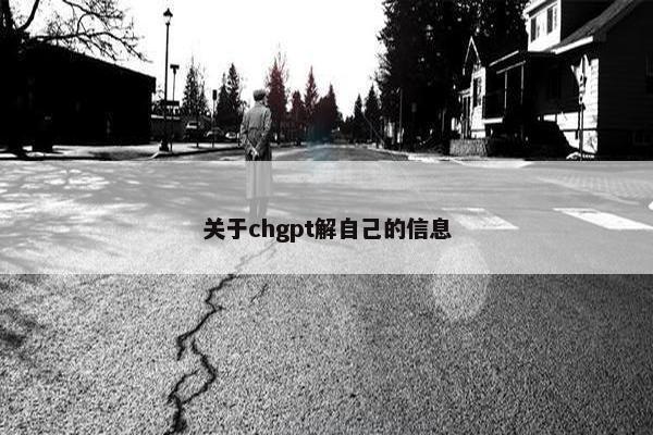 关于chgpt解自己的信息