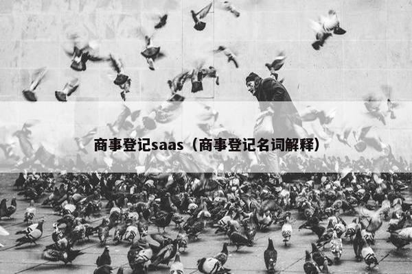 商事登记saas（商事登记名词解释）