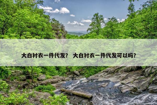 大白衬衣一件代发？ 大白衬衣一件代发可以吗？