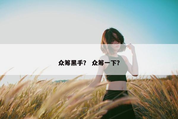 众筹黑手？ 众筹一下？