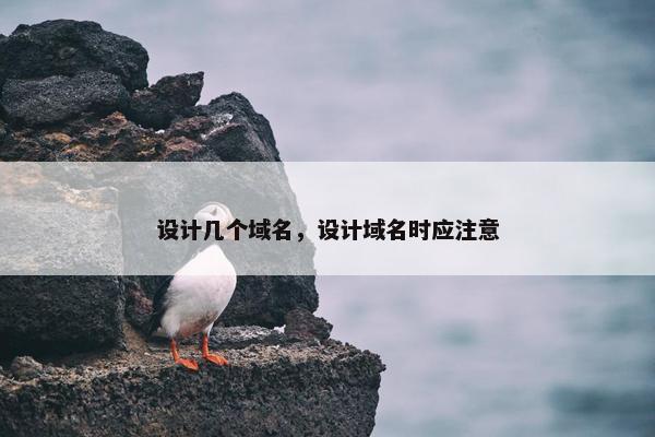 设计几个域名，设计域名时应注意