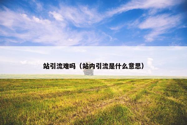 站引流难吗（站内引流是什么意思）