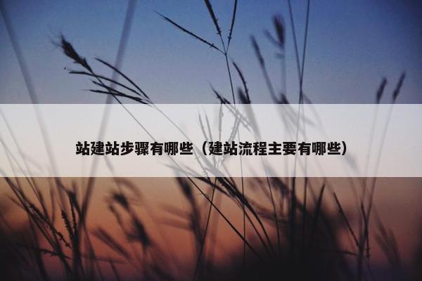 站建站步骤有哪些（建站流程主要有哪些）