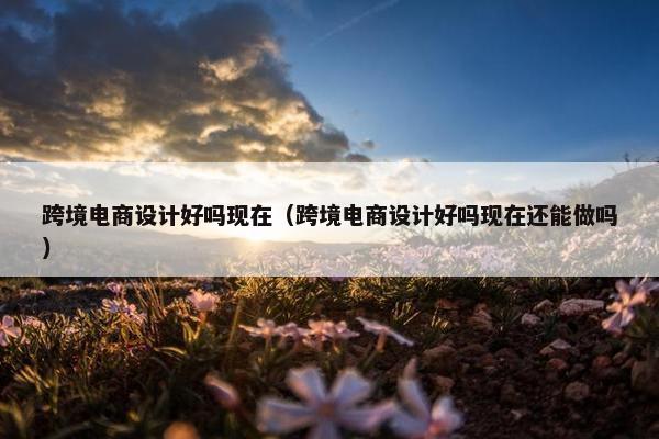 跨境电商设计好吗现在（跨境电商设计好吗现在还能做吗）