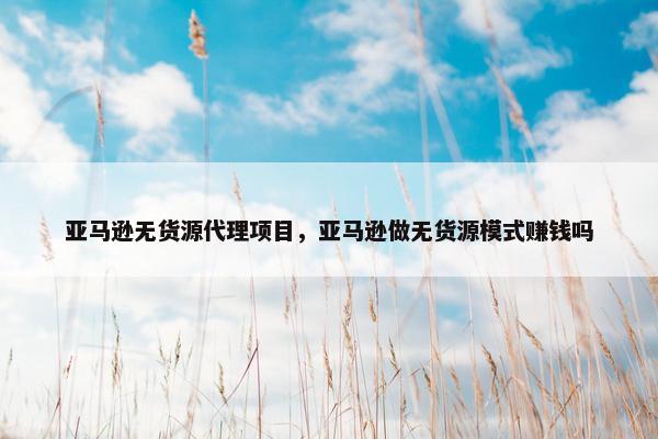 亚马逊无货源代理项目，亚马逊做无货源模式赚钱吗