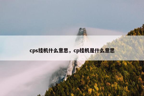 cps挂机什么意思，cp挂机是什么意思