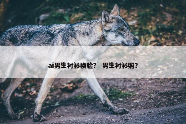 ai男生衬衫换脸？ 男生衬衫照？