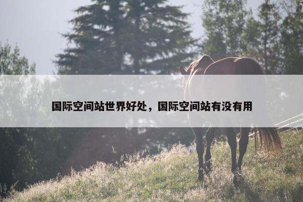 国际空间站世界好处，国际空间站有没有用