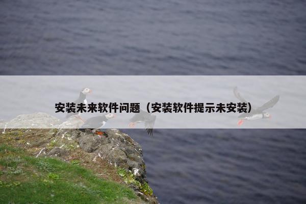 安装未来软件问题（安装软件提示未安装）