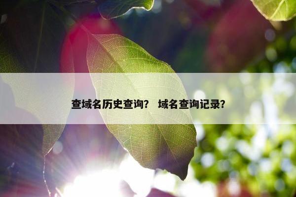 查域名历史查询？ 域名查询记录？