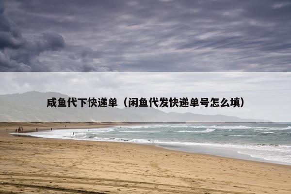 咸鱼代下快递单（闲鱼代发快递单号怎么填）
