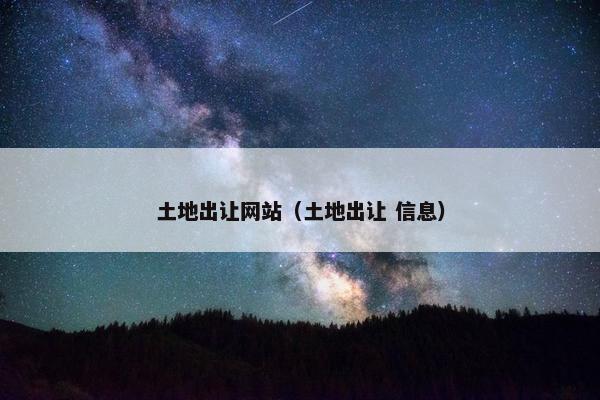 土地出让网站（土地出让 信息）
