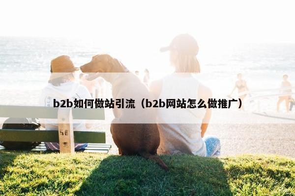 b2b如何做站引流（b2b网站怎么做推广）