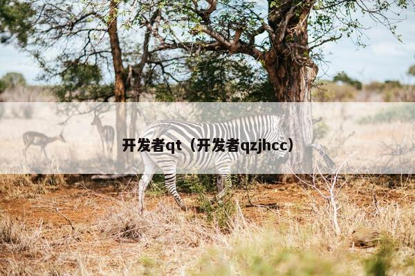 开发者qt（开发者qzjhcc）