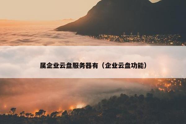 属企业云盘服务器有（企业云盘功能）
