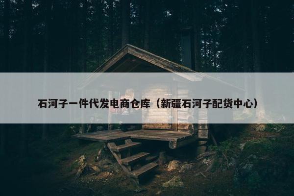 石河子一件代发电商仓库（新疆石河子配货中心）