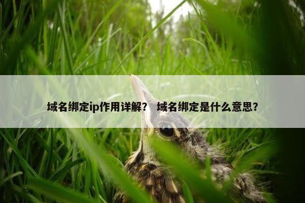 域名绑定ip作用详解？ 域名绑定是什么意思？