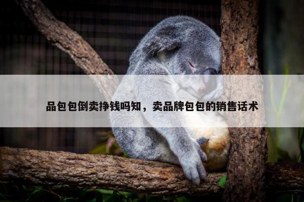 品包包倒卖挣钱吗知，卖品牌包包的销售话术