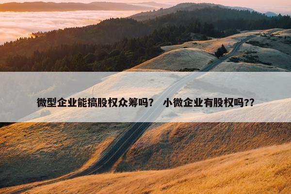 微型企业能搞股权众筹吗？ 小微企业有股权吗?？