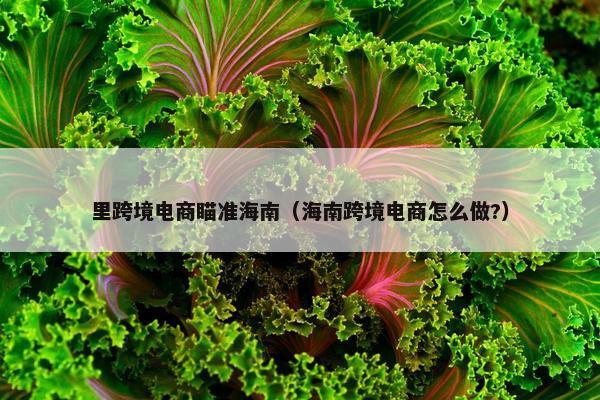 里跨境电商瞄准海南（海南跨境电商怎么做?）