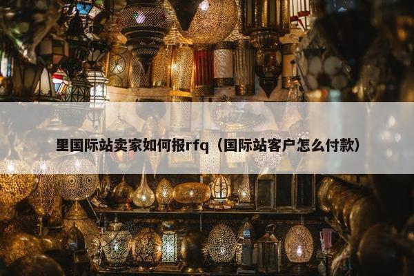 里国际站卖家如何报rfq（国际站客户怎么付款）