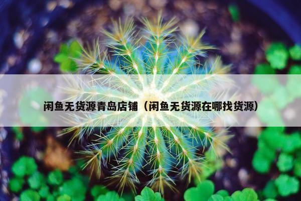 闲鱼无货源青岛店铺（闲鱼无货源在哪找货源）