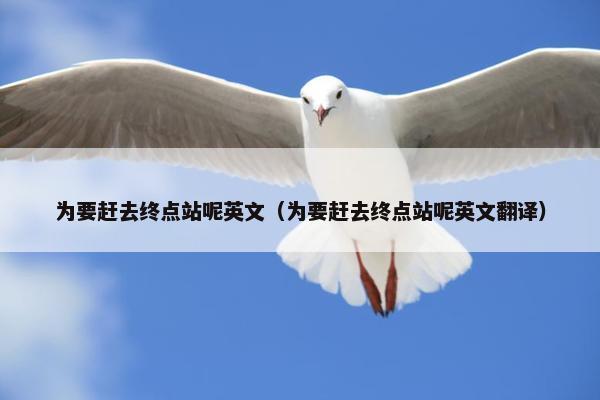 为要赶去终点站呢英文（为要赶去终点站呢英文翻译）