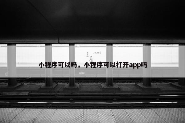 小程序可以吗，小程序可以打开app吗