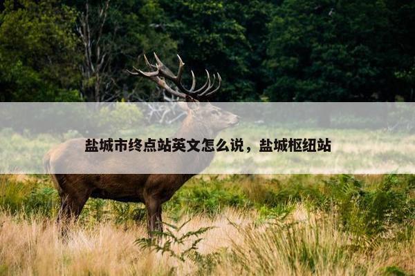盐城市终点站英文怎么说，盐城枢纽站