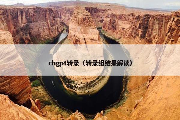 chgpt转录（转录组结果解读）
