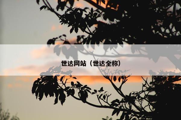 世达网站（世达全称）