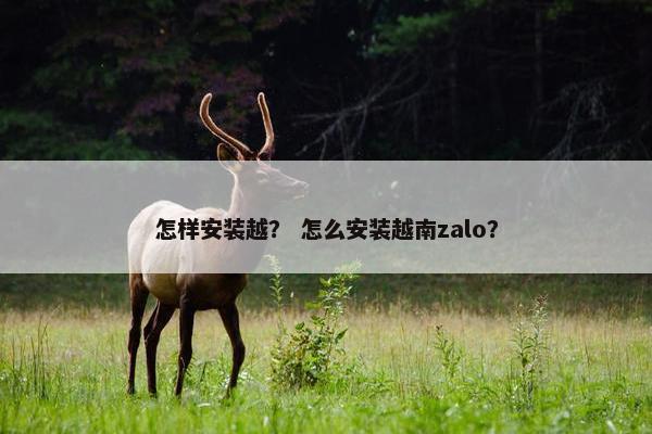 怎样安装越？ 怎么安装越南zalo？