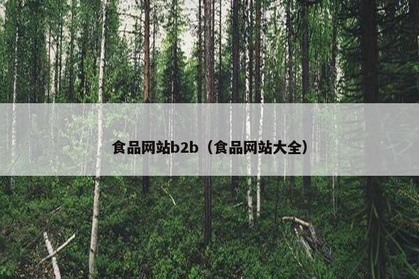 食品网站b2b（食品网站大全）