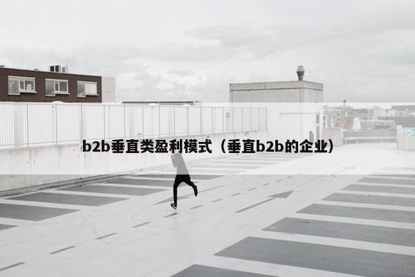 b2b垂直类盈利模式（垂直b2b的企业）