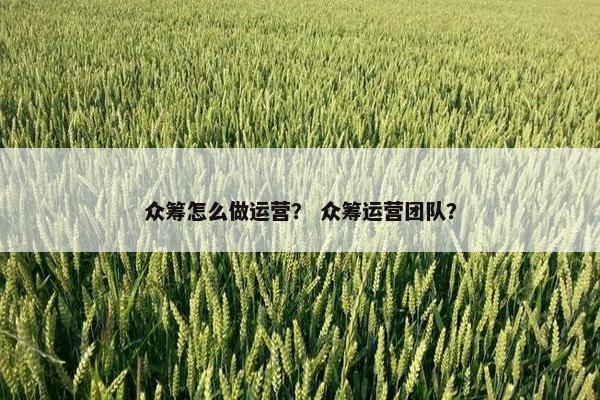 众筹怎么做运营？ 众筹运营团队？