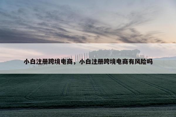 小白注册跨境电商，小白注册跨境电商有风险吗