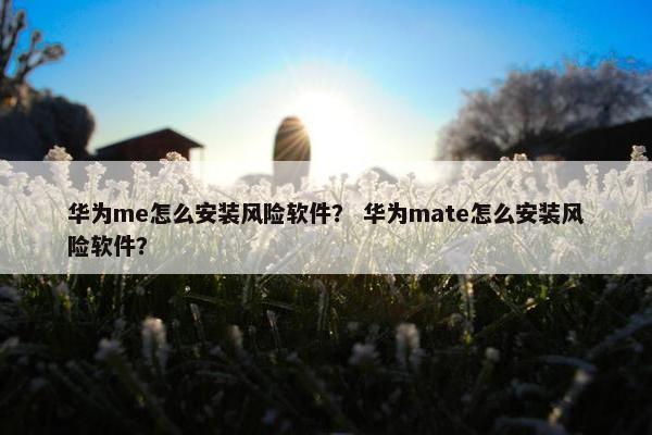 华为me怎么安装风险软件？ 华为mate怎么安装风险软件？