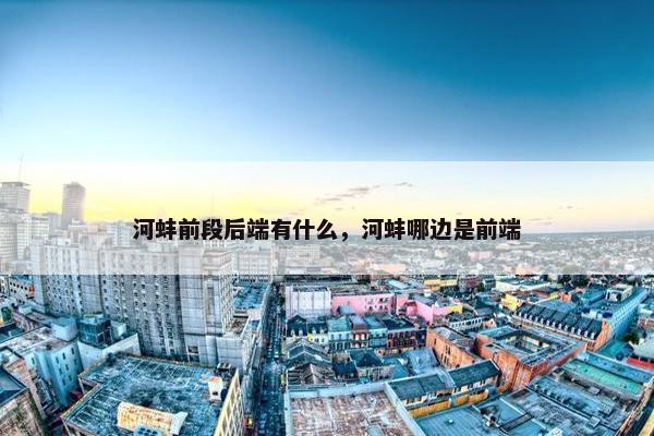 河蚌前段后端有什么，河蚌哪边是前端