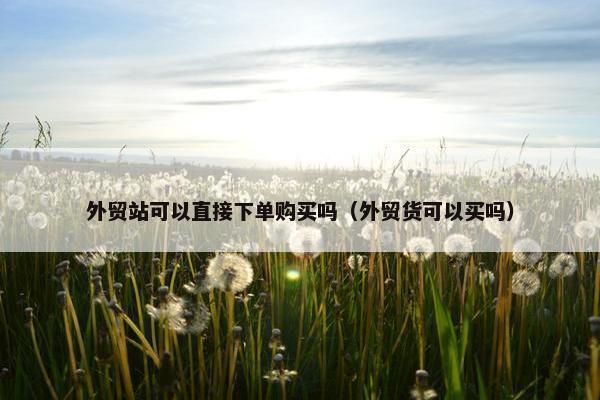 外贸站可以直接下单购买吗（外贸货可以买吗）