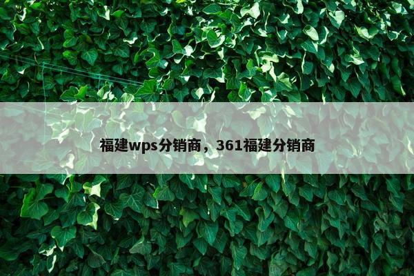 福建wps分销商，361福建分销商