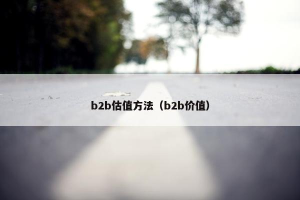 b2b估值方法（b2b价值）