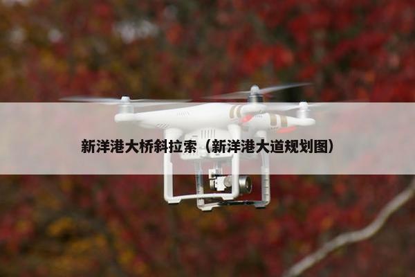 新洋港大桥斜拉索（新洋港大道规划图）