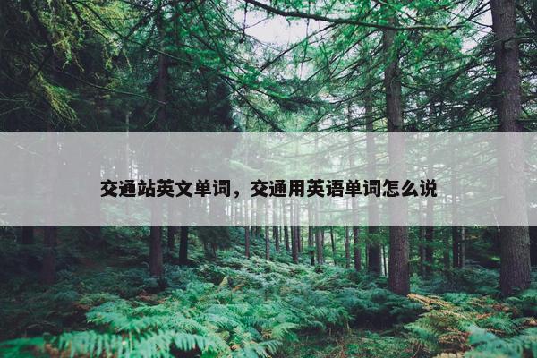 交通站英文单词，交通用英语单词怎么说