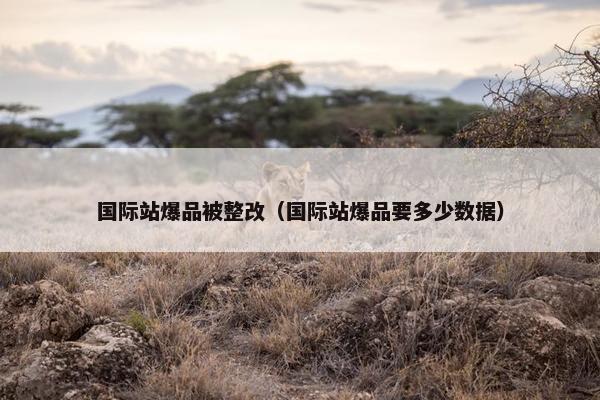 国际站爆品被整改（国际站爆品要多少数据）