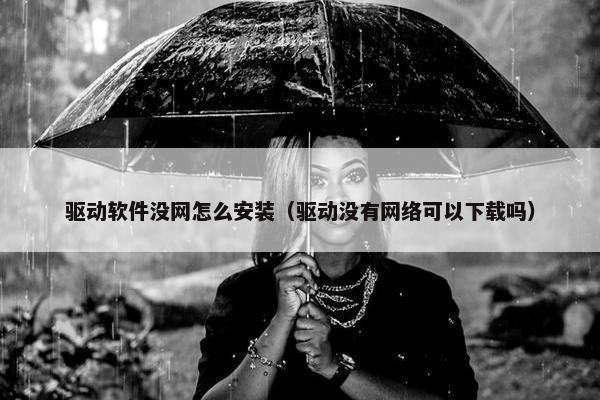 驱动软件没网怎么安装（驱动没有网络可以下载吗）
