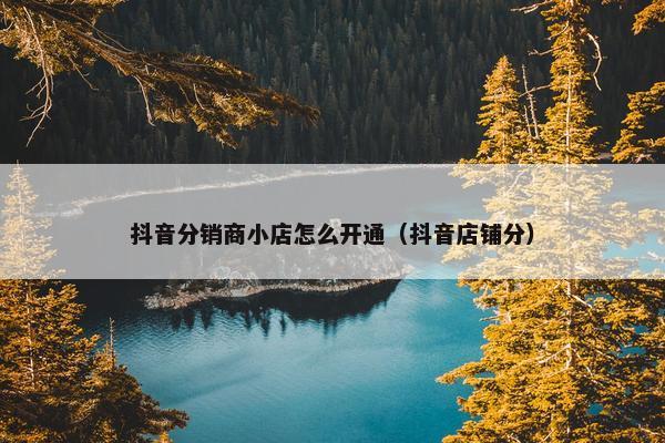 抖音分销商小店怎么开通（抖音店铺分）