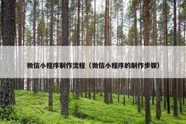 微信小程序制作流程（微信小程序的制作步骤）