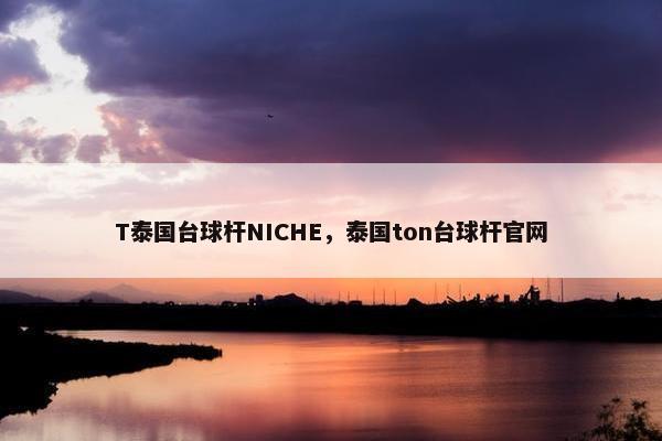 T泰国台球杆NICHE，泰国ton台球杆官网